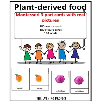 Preview of Plant-derived food Montessori, Autism, Special Ed. 3-part cards with real photos