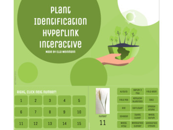 Preview of Plant identification google slides hyperlink interactive