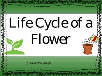 Preview of Plant life cycle