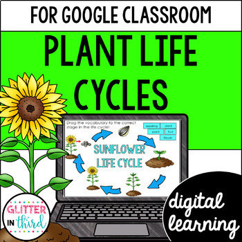 Preview of Plant life cycle activities for Google Classroom Digital