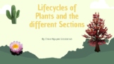 Plant life cycle fact book