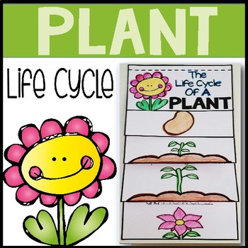 Plant Life Cycle Flip Book By Aisforadventuresofhomeschool Tpt