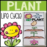 Plant life cycle flip book