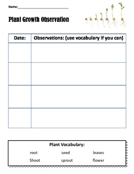 Plant Growth Chart For Students