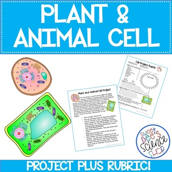 Animal Cell Project Teaching Resources | TPT