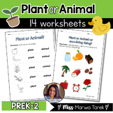 Plant or Animal? {Sorting} {Worksheets} {PreK-2} - Ms Marwa Tarek