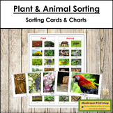 Plant and Animal Sorting Cards & Control Chart
