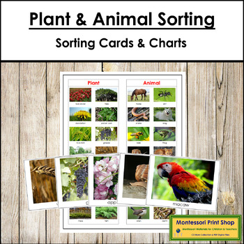 Preview of Plant and Animal Sorting Cards & Control Chart