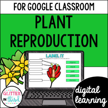 Preview of Plant reproduction activities for Google Classroom