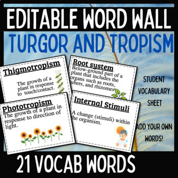 Preview of Plant systems Tropisms Word Wall 