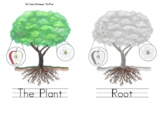 Plant/tree: Lesson Book/Chart