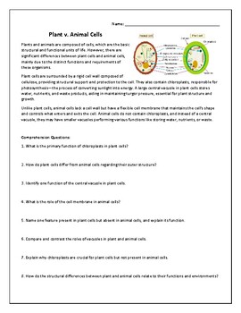 Preview of Plant v. Animal Cells Comprehension Worksheet with Answer Key