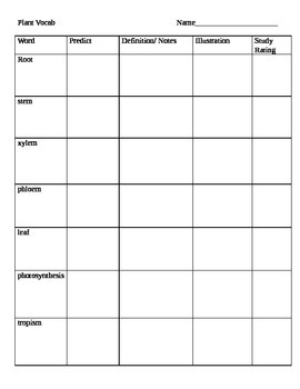 Plant vocab chart by Elizabeth Daniel | TPT