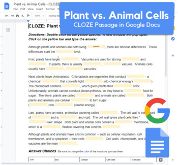 Fill In The Blank Cloze Reading Worksheets Teaching