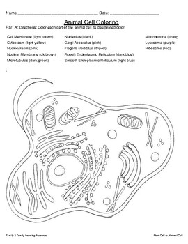 Animal, Plant Cells, Coloring Teaching Resources | TPT