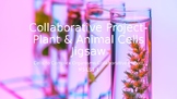 Plant vs Animal Cells Collaborative Project