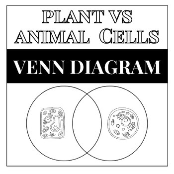 Plant vs Animal Cells Venn Diagram by Biocate Biology | TPT