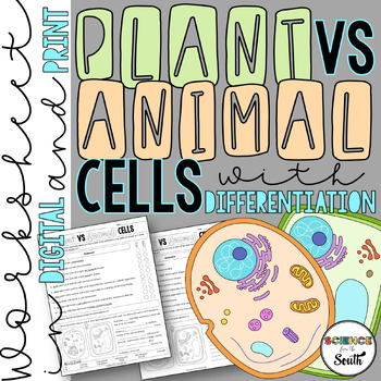 Preview of Plant vs Animal Cells Worksheet Activity for Comparing Plant and Animal Cells