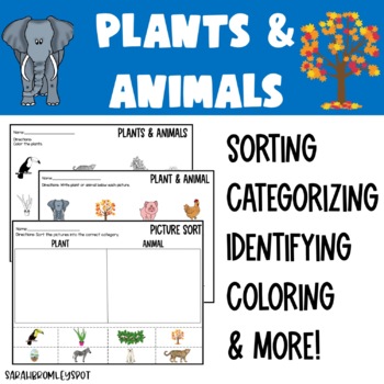 Preview of Plants vs. Animals Activity Pack
