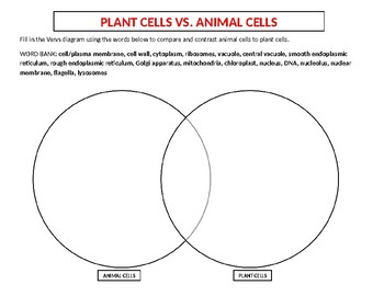 Plant vs Animal cell 1 pager by Dorff Bio | TPT