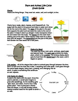 Preview of Plant/Animal Life Cycle and Parts of Plant/Seed Study Guide