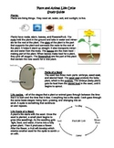 Plant/Animal Life Cycle and Parts of Plant/Seed Study Guide