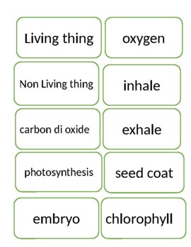 Preview of PlantLife-Vocab Flashcards