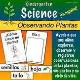 Plantas: Diario Científico y Tarjetas de Vocabulario Para 