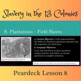 Plantation Field Slave:  Slavery in the 13 Colonies Lesson 8