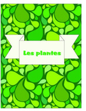 Plants French Les plantes