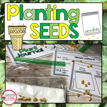 Preview of Planting Seeds Activities | Plant Unit