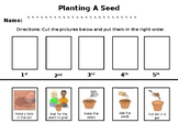 Planting a Seed Sequencing Worksheet