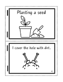 Planting a seed booklet