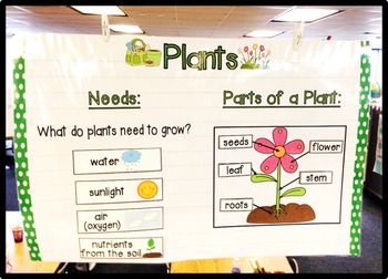 Plants Anchor Chart by Planet Happy Smiles | Teachers Pay Teachers