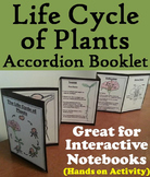 The Life Cycle of a Plant Activity: Seeds, Pollination & P