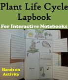 Life Cycle of a Plant Activity/ Foldable: Seeds, Pollinati