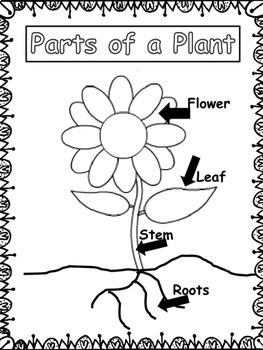 Introduction to Plants: Parts of a Plant and much more! by Meaningful ...