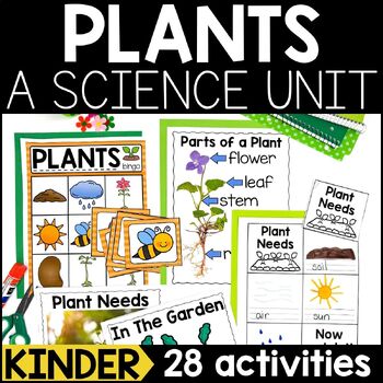 Preview of Plants: A Science Unit | Plant Life Cycle | Parts of a Plant | Plants Activities