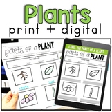 Plant Parts and Life Cycle (+ digital)