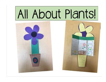 Plants by Ellysa Reinke | TPT
