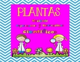 Plants: A Spanish Unit for Kindergarten or 1st Grade