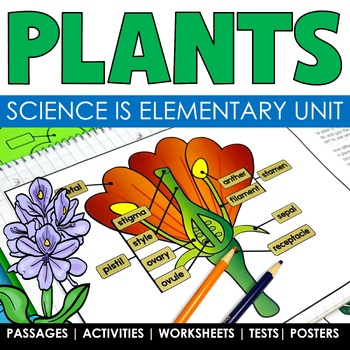 Preview of Plants Activities with Plant Lifecycle Parts of a Plant Science Plant Structure