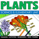 Plants Activities with Plant Lifecycle Parts of a Plant Sc