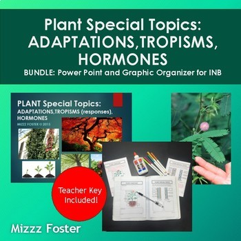 Preview of Plants Adaptations, Tropisms, Hormones: PowerPoint & Graphic Organizer Notes