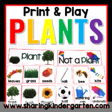 Plants & Plants Unit- What is a Plant, Parts of a Plant, U