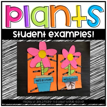 Plants Anchor Chart & Crafitivity by The Bubbly Blonde | TpT