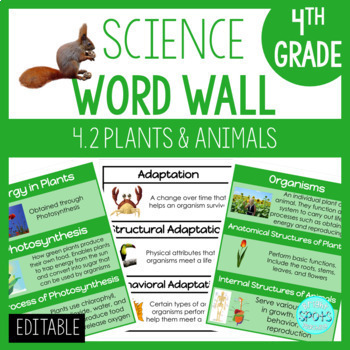 Preview of Plants & Animals: 4th Grade Science Word Wall