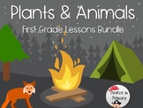 Plants & Animals First Grade Science Lesson Bundle *NGSS*