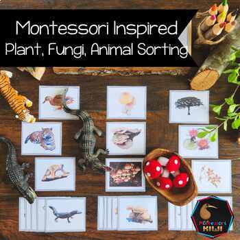 Preview of Plants, Animals, Fungi sorting