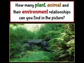 Plants, Animals and their Environment PowerPoint (Interdependence of